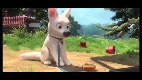 Ready or Not || Animash