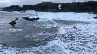 Boiler Bay Rest Area