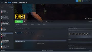 How to Fix The Forest Crashing at Startup, Won