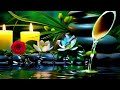 Relaxing Music for Sleep, Focus and Healing 🌿 Calming Nature Sounds for Work, Meditation and Peace