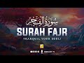 Soul Touching Recitation Of Surah Al Fajr سورة الفجر Zikrullah TV Soul Touching Recitation Of Surah Al Fajr سورة الفجر Zikrullah TV