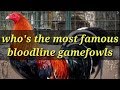 FAMOUS GAMEFOWLS ( MGA POGING MANOK PANABONG )