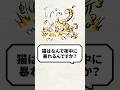 Q:猫はなんで夜中に暴れるんですか? #猫 #猫のいる暮らし #ねこ