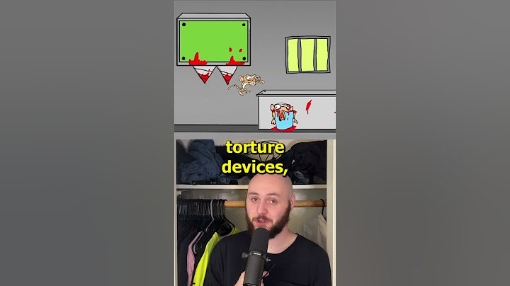 PETA Games Made By Highschoolers