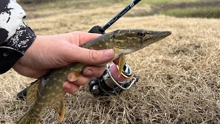 🔆МИКРОДЖИГ🤏ЛОВЛЯ ЩУКИ🎣 ✨ВИДЕО НАРЕЗКА 🎥