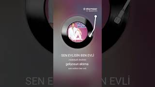 Sen Evlisin Ben Evli (Seslendiren Zekeriya Nevruz Demir)