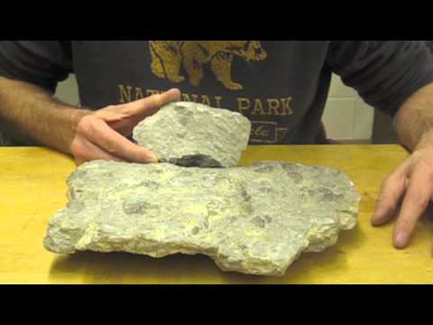 Identifying Fossiliferous Limestone