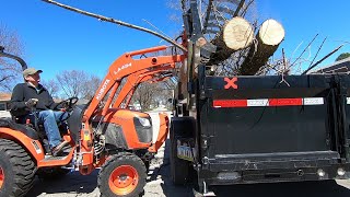 Kubota B2601 and root grapple cleaning up dead ash trees