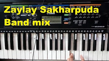 Zaylay Sakharpuda || song on piano