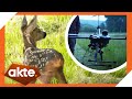 Rehkitz-Rettung: Einsatz mit Drohne! | Akte | SAT.1