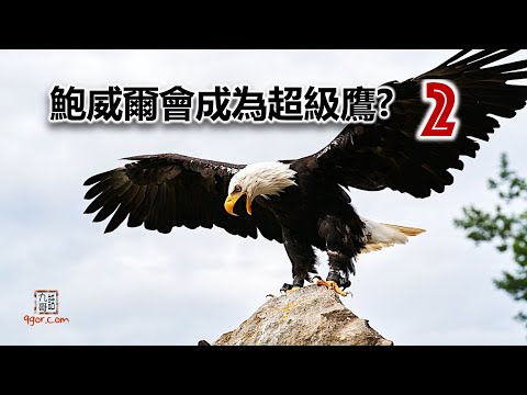 [九哥話] 2023-01-31 鮑威爾會成為超級鷹？之二 (精簡版)