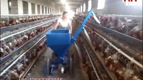 Automatic feeding trolley