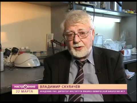 Вещество от старения Владимир Скулачев