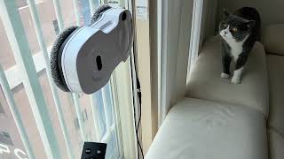 뿌연 창문 깨끗하게 습식 건식 2 In 1 청소 샤오미 미홀 2세대 유리창 로봇청소기 C77S