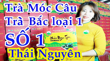 Trà Móc Câu | Trà Bắc Loại 1 | HTX Trà Xanh Thái Nguyên
