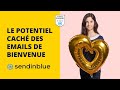 Le scnario email de bienvenue  formation emailing 3163