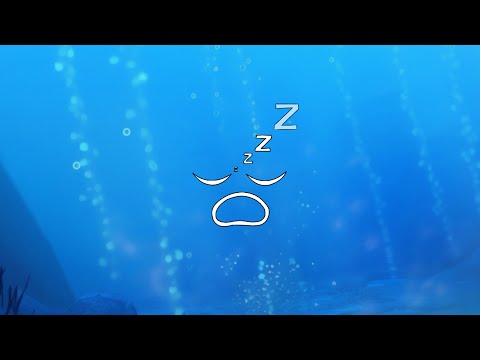 fontaine ~ genshin impact lofi
