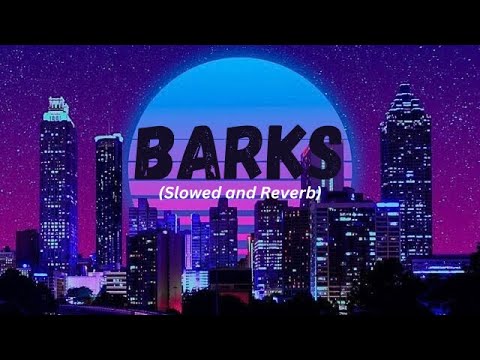 Barks (Slowed and Reverb) | Wazir Patar | Azaad 4L | New Punjabi Song | Latest Punjabi Songs 2024