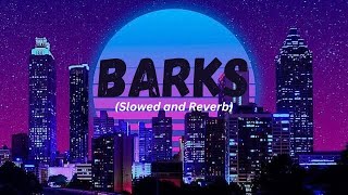 Barks (Slowed and Reverb) | Wazir Patar | Azaad 4L | New Punjabi Song | Latest Punjabi Songs 2024
