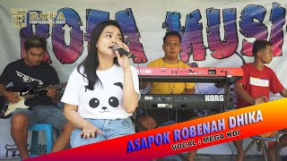 ASAPOK ROBENAH DHIKA | MEGA KDI