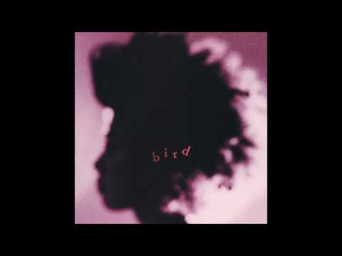 bird - souls
