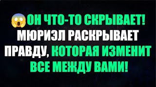 :  - !   ,     !