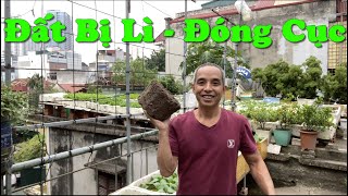 Cải Tạo Lại Đất Bị Lì Bị Đóng Cục Để Trồng Cây Trồng Rau