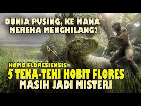 Video: Hobbit Indonesia Dikenal Sebagai Spesies Unik - Pandangan Alternatif