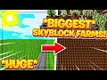 Making the BIGGEST Sugar Cane and Coco Bean Farms!! - Hypixel Skyblock