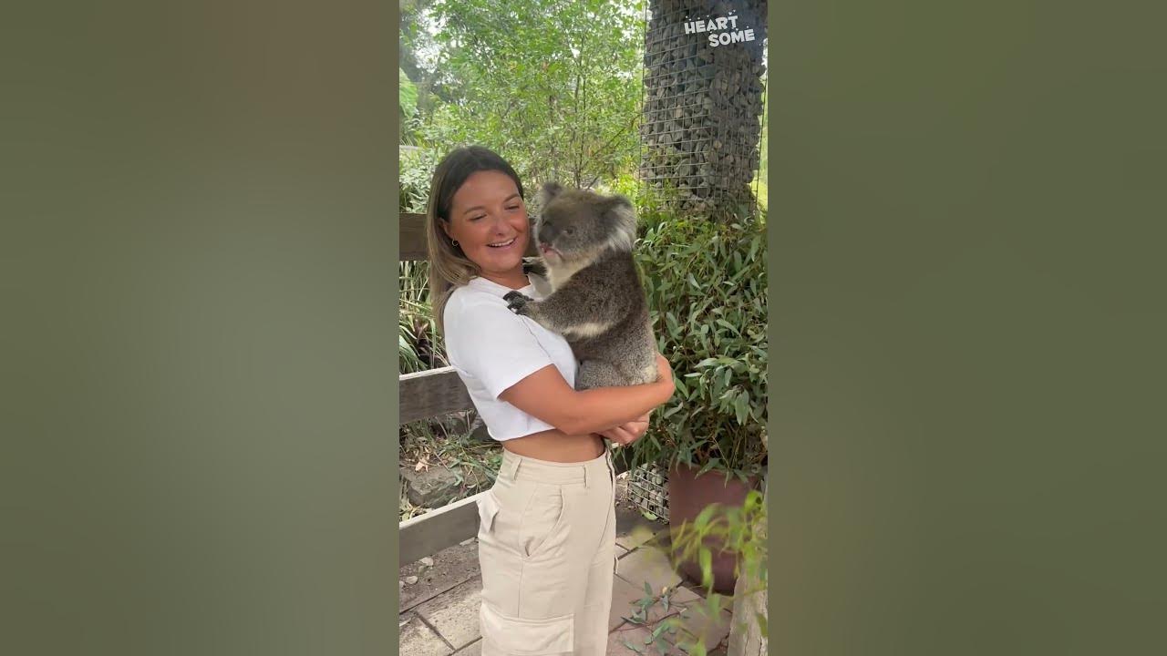 Koala Cuddles! Woman's Dream Come True as She Holds Adorable Marsupial