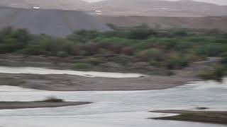 sirwan rever ـ banzamin 2021