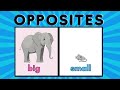 Understanding Opposites