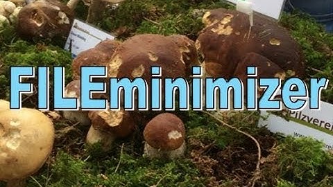 Reduce File Size with Desktop and File Server solution