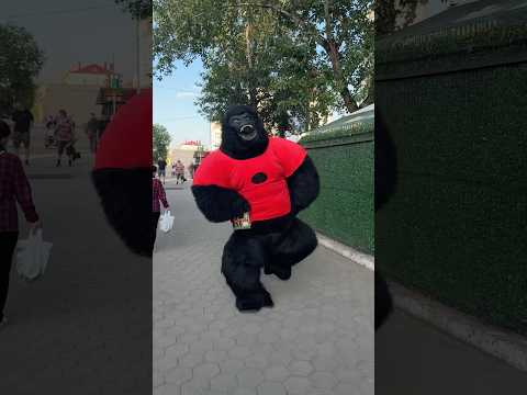 Коллеги пригласили Гориллу на праздник 🤩. #shorts
