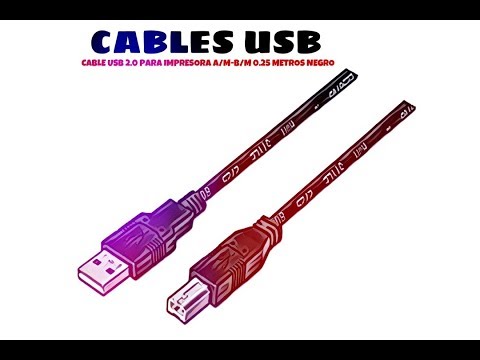 Video de Cable USB 2.0 para impresora A/M-B/M 0.25 M Negro
