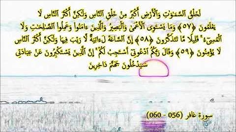 تلاوة خاشعة بصوت الشيخ الجزائري أبوبكر مومني -  سورة غافر (056-060).