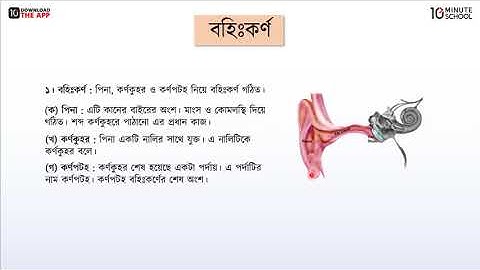 অধ্যায় ৬: সংবেদী অঙ্গ [Class 6]