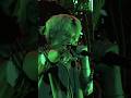 7ORDER「MONSTER」【7ORDER THE LIVE】