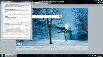 Deleting Internet Explorer 9 Browsing Data & Cookies (Windows)