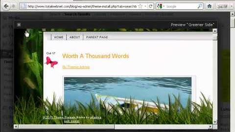 Video 11 - How to Install WordPress Themes Automatically.mp4