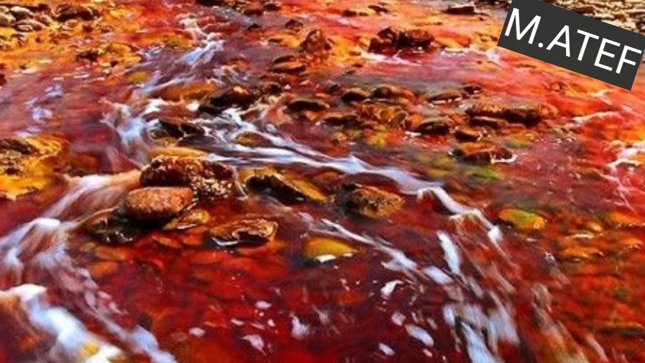 Почвы загрязненные тяжелыми металлами. Красная река Рио тинто. Река Рио тинто Испания. Река Эль-Рио-винегре. Рио-тинто, Испания озеро.