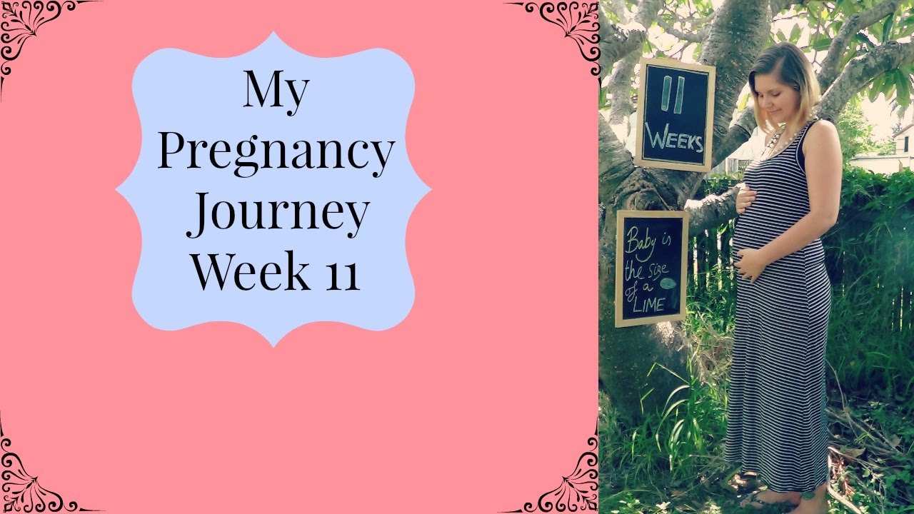 my pregnancy journey