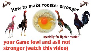 How to make rooster stronger | Best diet for  rooster | Best diet for Aseel screenshot 1