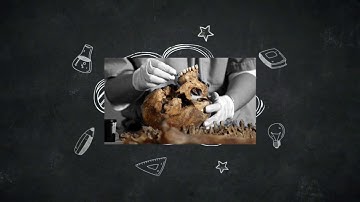 Odontología Forense /Forensic Odontology