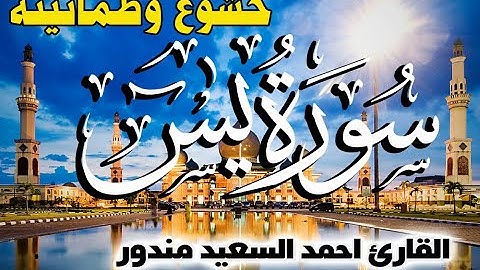 Quran Surat YaSin سورة يس قلب القران | تلاوة خاشعة للقارئ احمد السعيد مندور