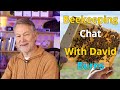 Wildwoods beekeeping chat with david burns  spring beekeeping management