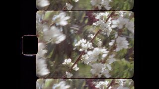 Alison Sudol - Enough Honey (Official Video)