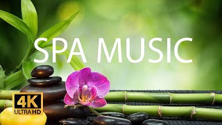 Beautiful SPA Music for Stress Relief • Meditation Music, Sleep Music, Ambient Study Music