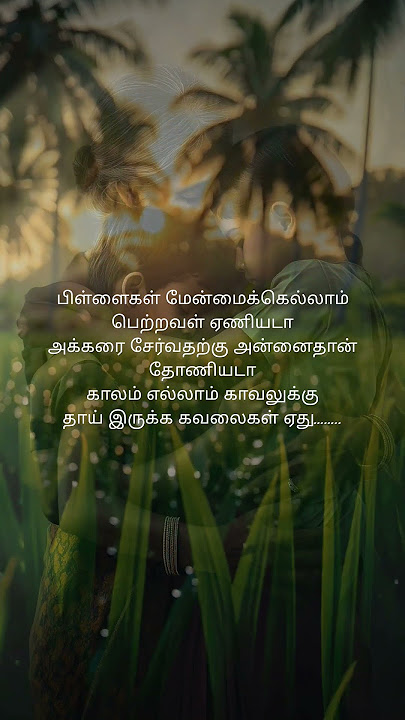 🌟 Nalla Velli Kizhamayile – A Timeless Tamil Song by Ilayaraja | Vijayakanth | Sakkarai Devan 🌟