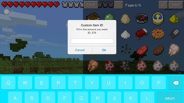 Too Many Items|IOS|Mod Showcase (Jailbreak needed)